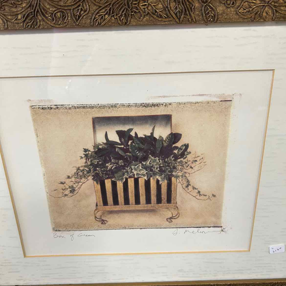 Gold Framed Picture of Box of Green