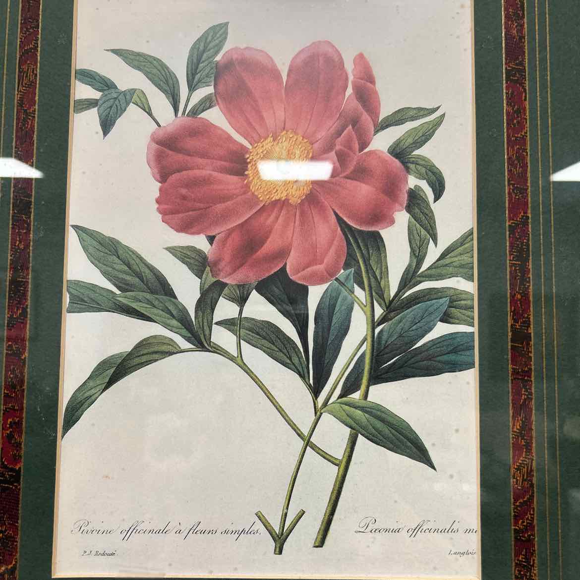 Picture -Red Flower w/Green Mat