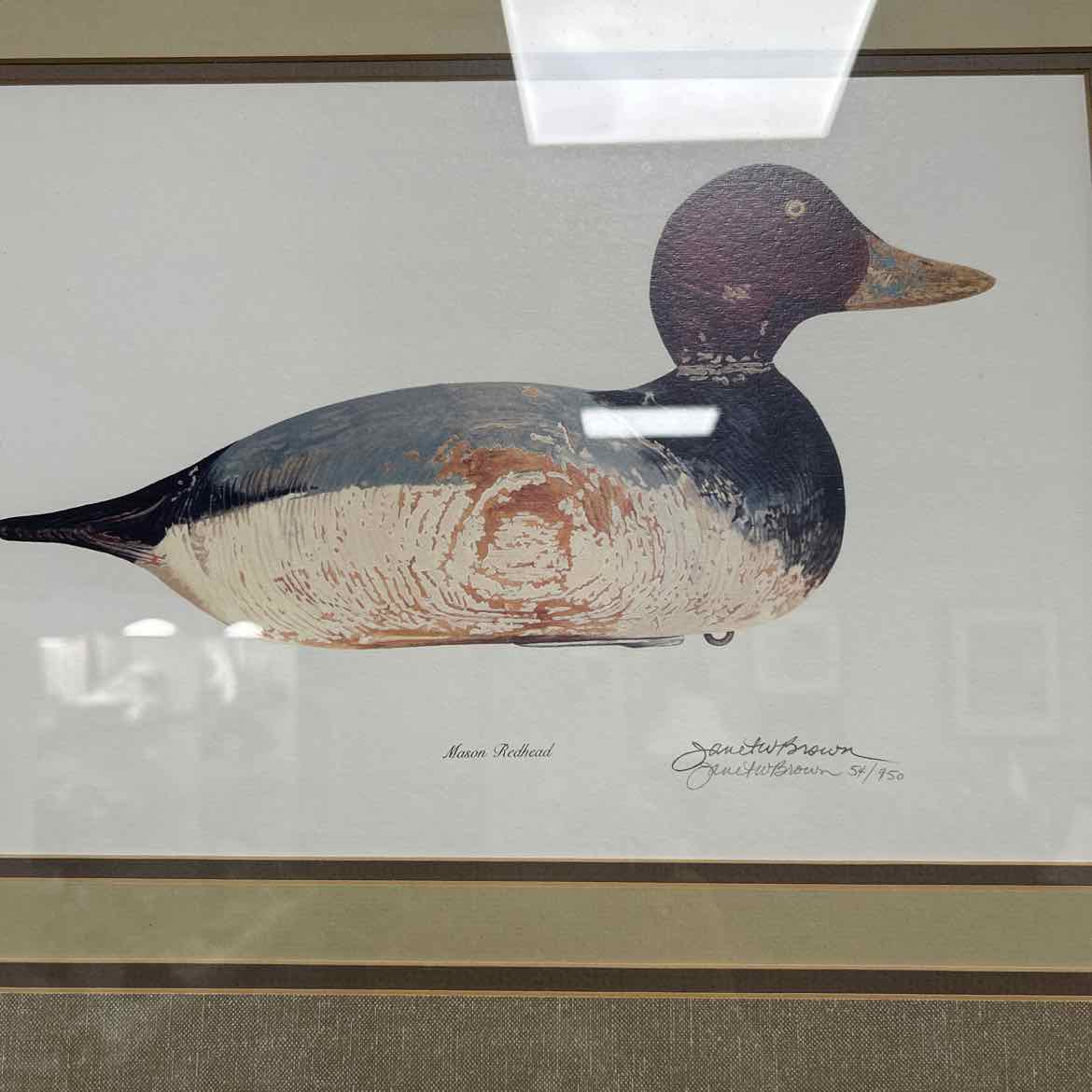 Print of Duck w/Red Head