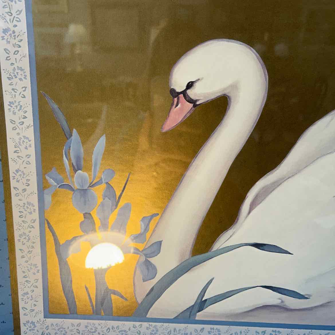 Picture of White Swan with Blue Mat