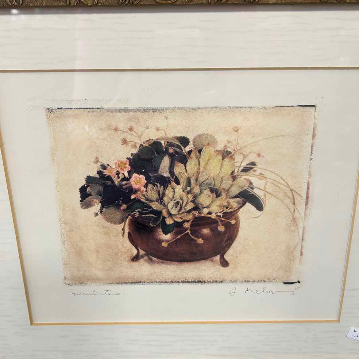 Gold Framed Picture of Succulents