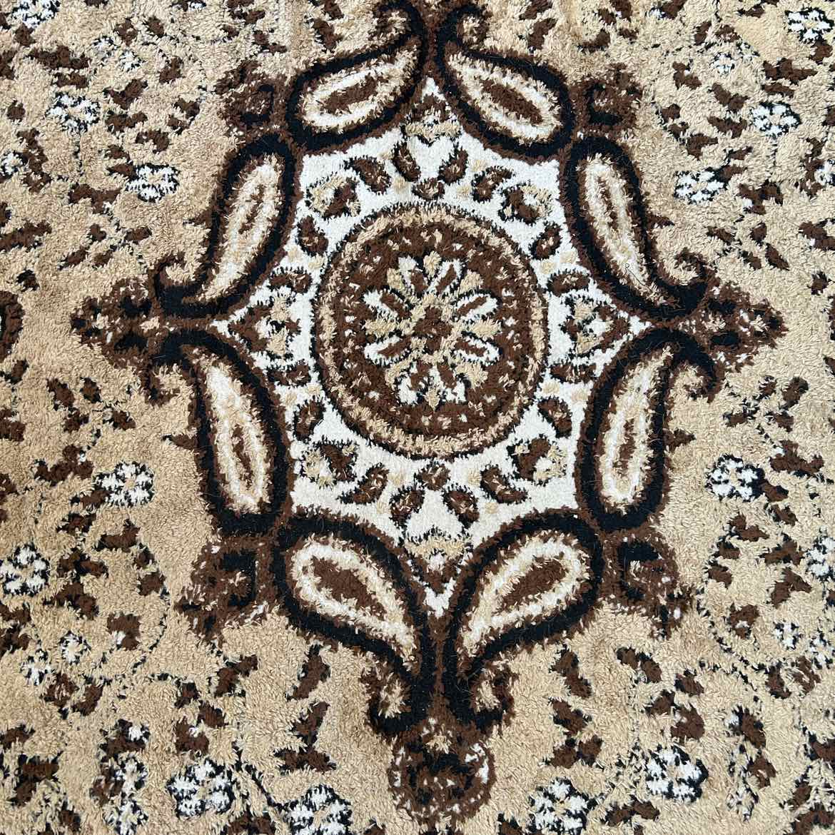 Brown/Tan Area Rug 65x84