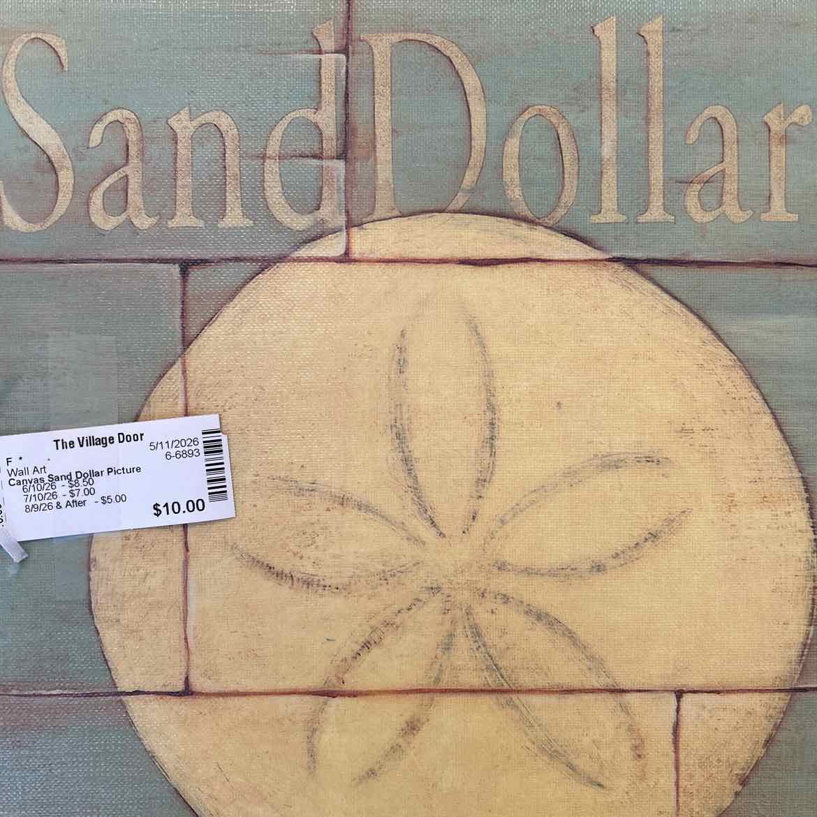 Canvas Sand Dollar Picture