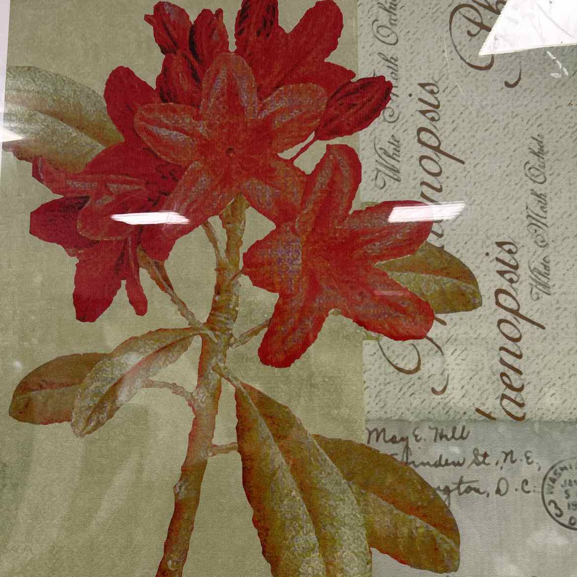 Print of Red Flowers in Brown Frame