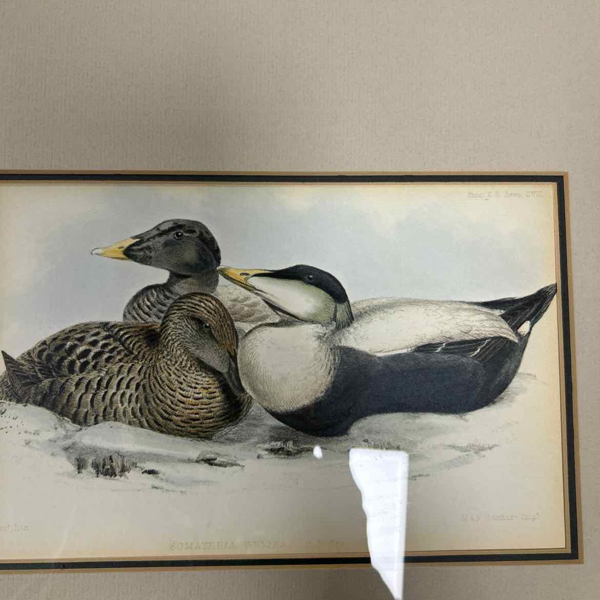 Picture of 3 Ducks in Brown Frame
