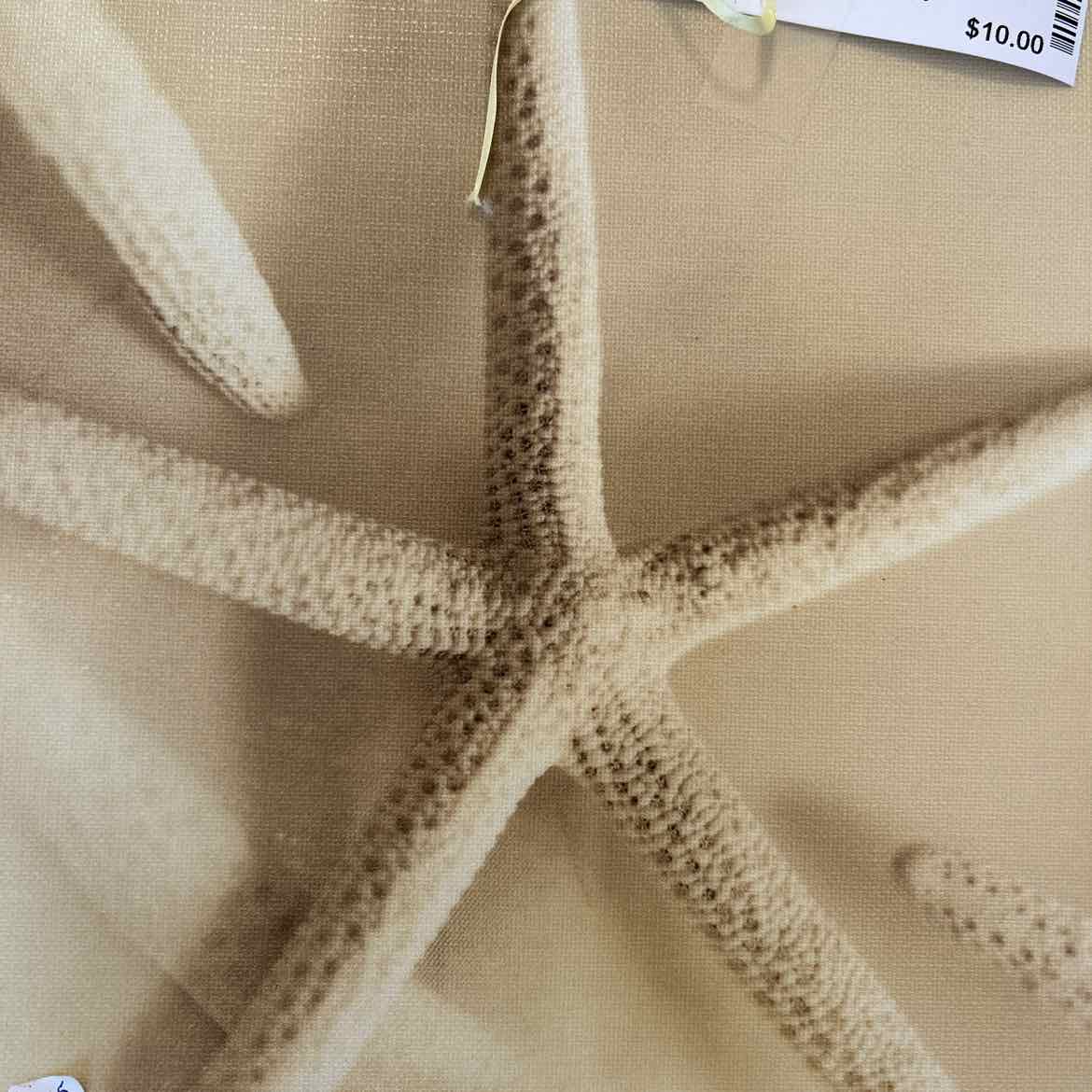 Canvas Starfish Picture