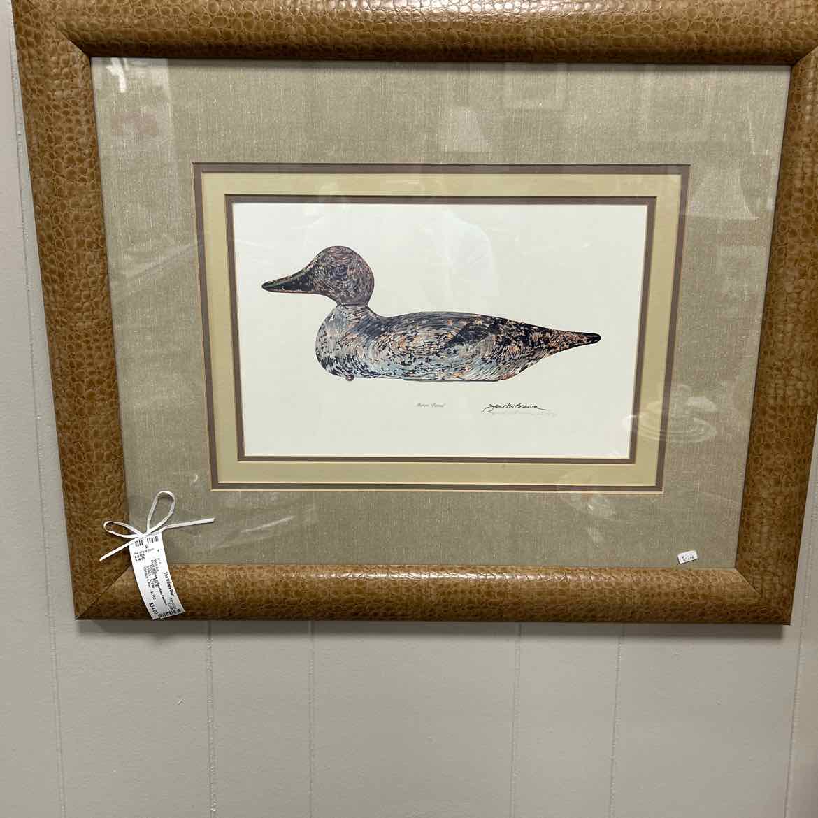 Print of Duck w/Speckled Feathers