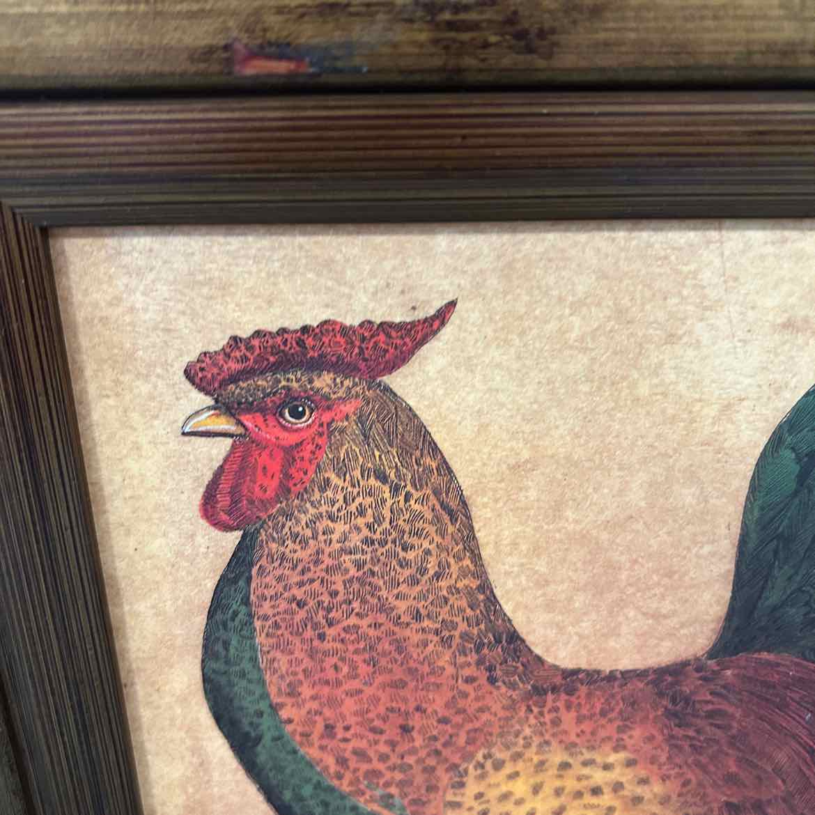 Rooster Picture in Gold Frame