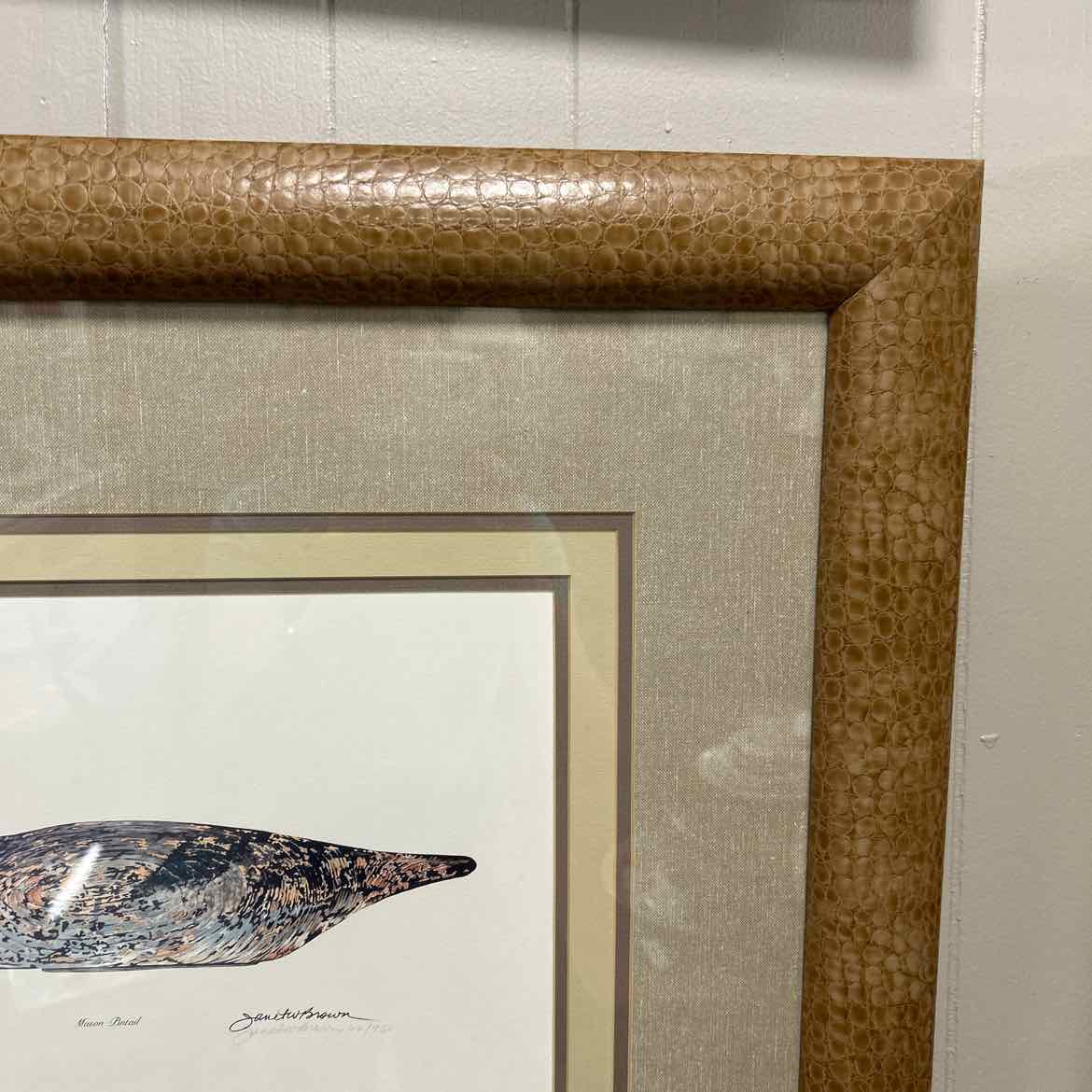 Print of Duck w/Speckled Feathers