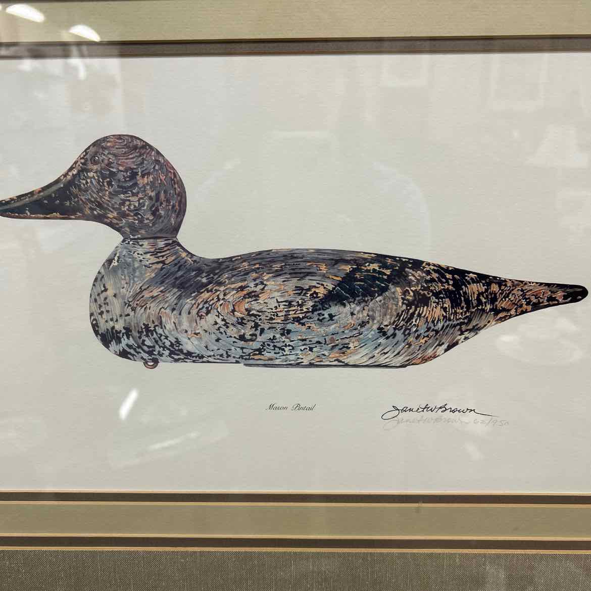 Print of Duck w/Speckled Feathers