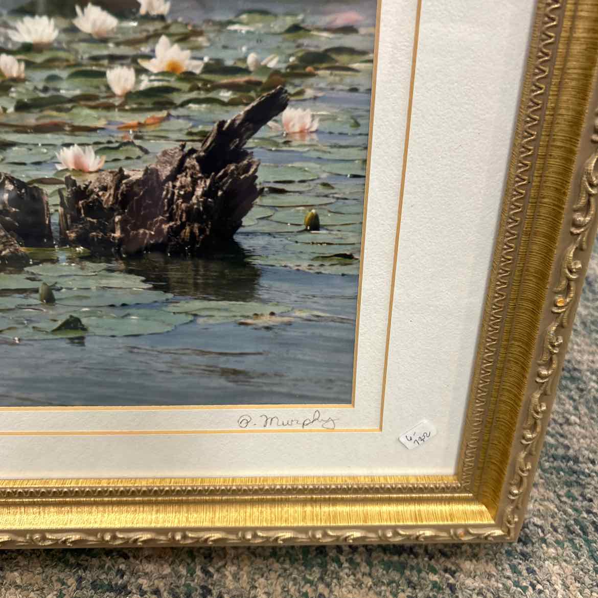 Gold Framed Photograph of Water Lilies