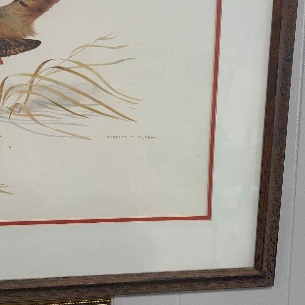 Large Picture of Pheasants