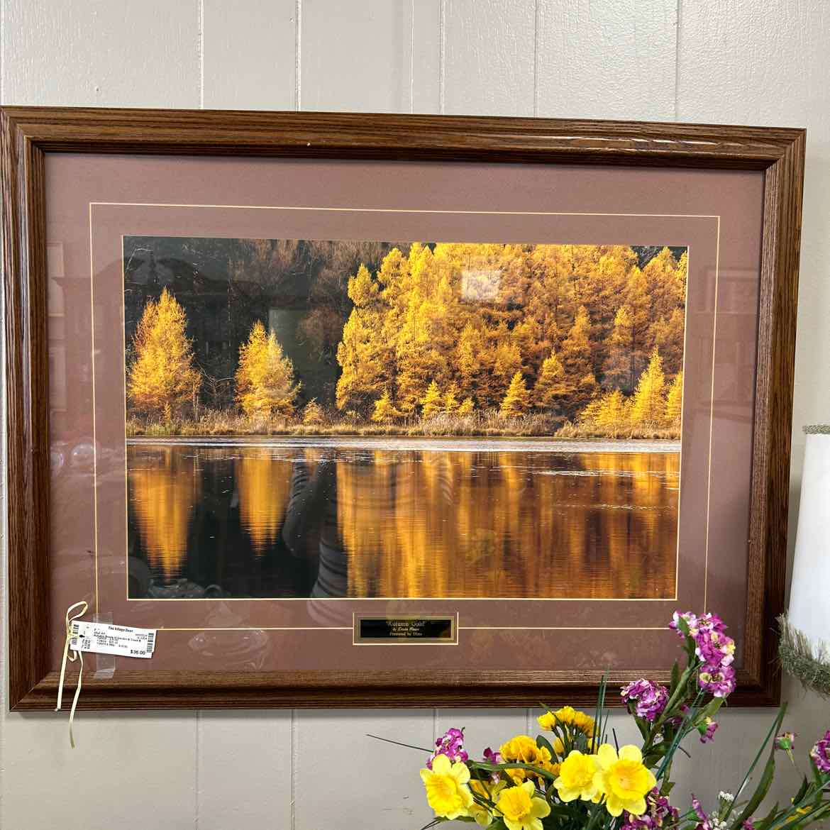 Autumn Scene of Garden & Trees & Lake