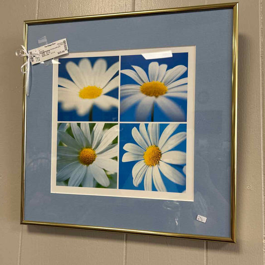 Blue Matted Daisy Picture w/Frame