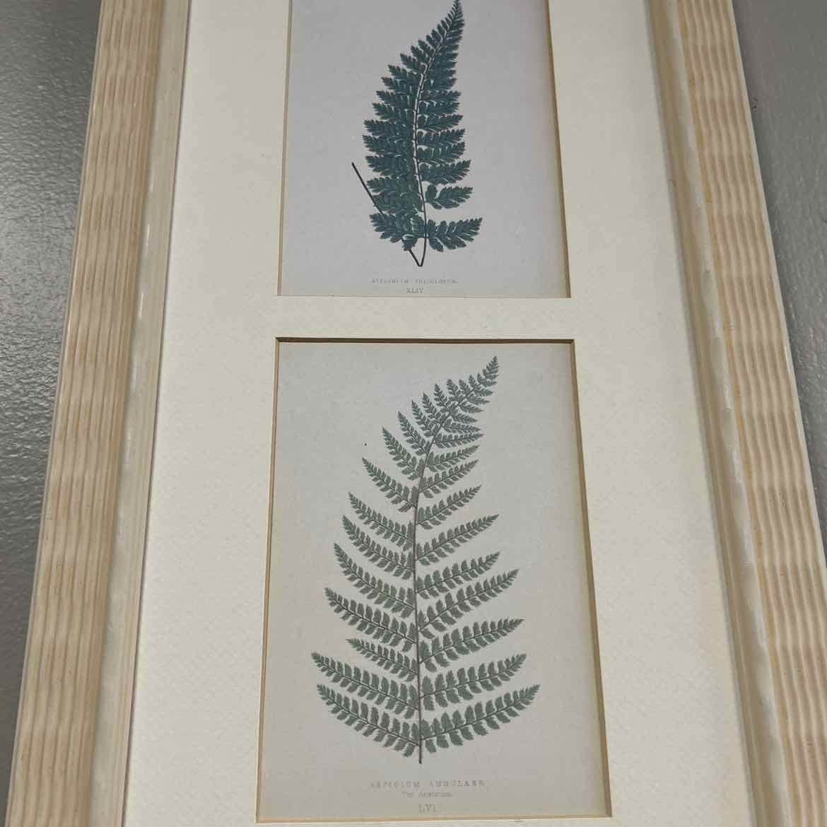 Rectangular Picture of 3 Ferns
