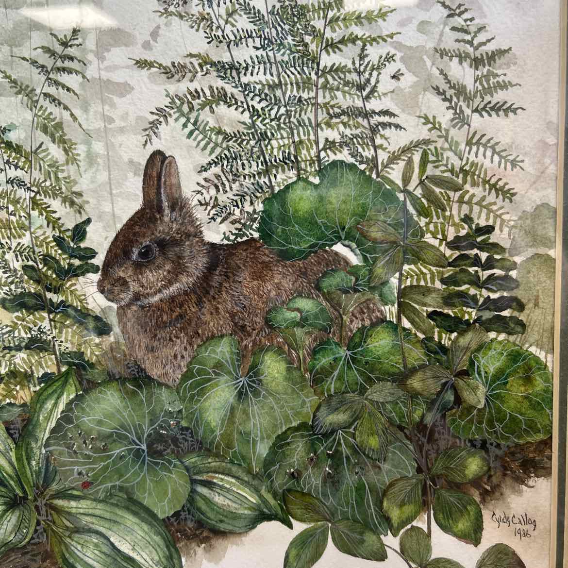 Framed Picture Of Bunny/Greens