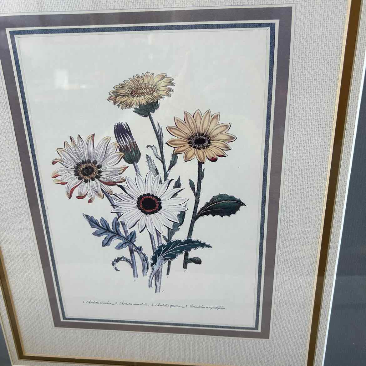 Multicolor Picture of Daisies w/Bronze Frame
