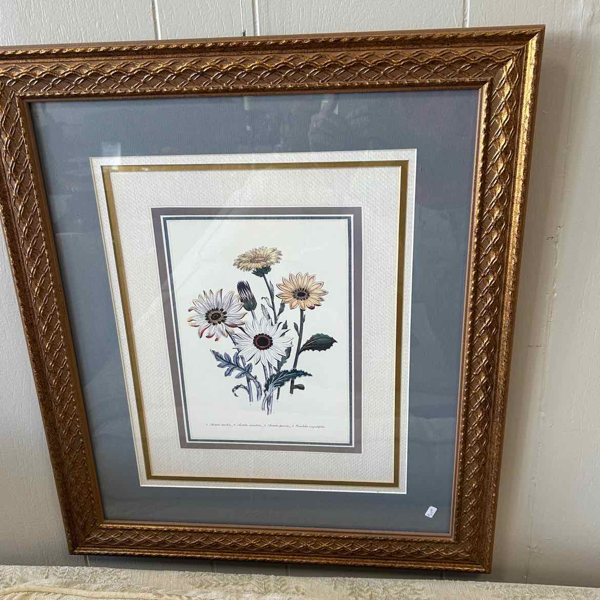 Multicolor Picture of Daisies w/Bronze Frame