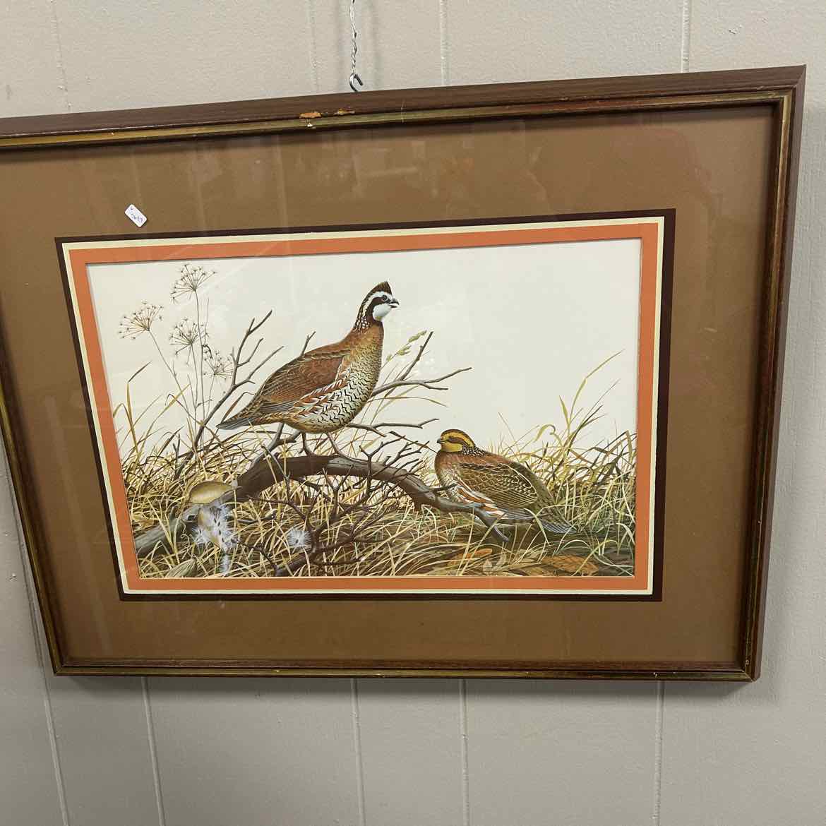 Zimmerman Picture -Framed Quail