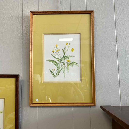 Picture of Yellow Flowers & Green Leaves