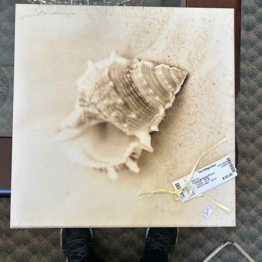 Canvas Seashell Picture
