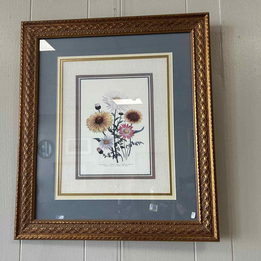 Picture of Daisies w/Bronze Frame