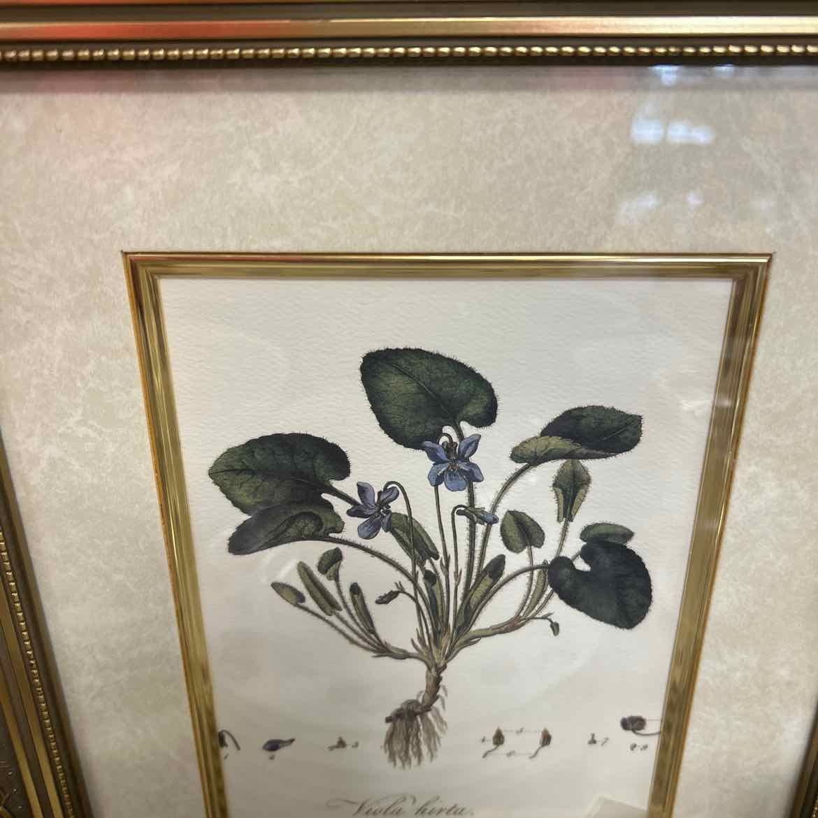 Picture of Violets in Gold Frame