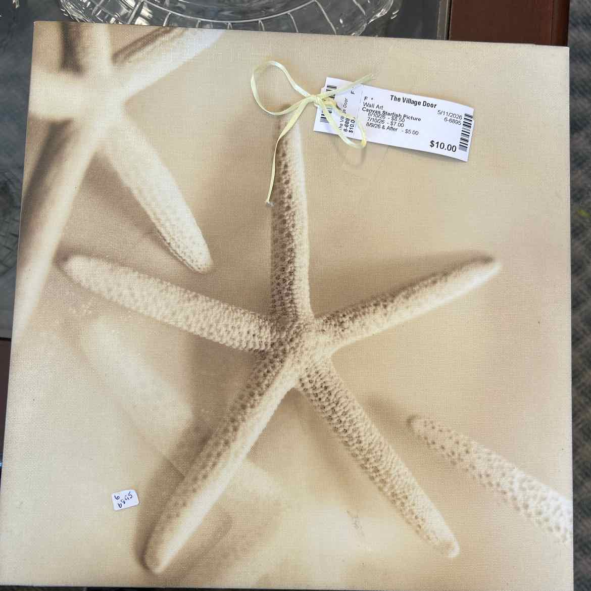 Canvas Starfish Picture
