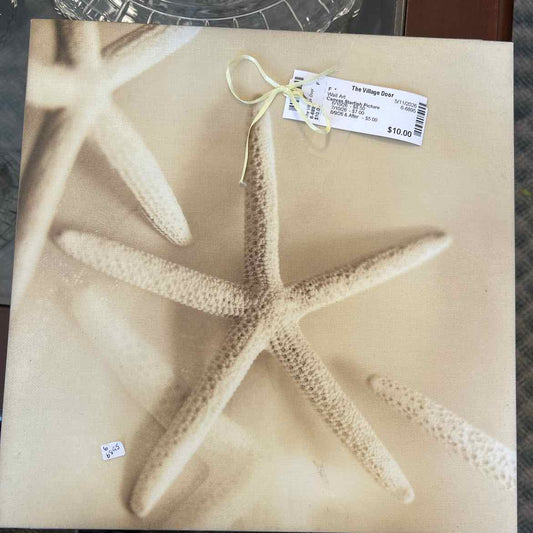 Canvas Starfish Picture