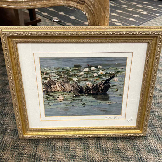Gold Framed Photograph of Water Lilies