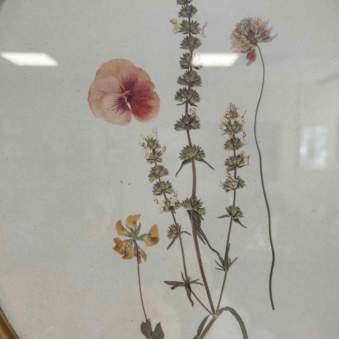 Oval Floral Picture