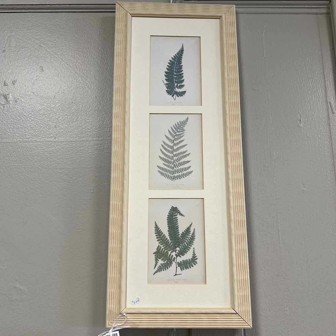 Rectangular Picture of 3 Ferns