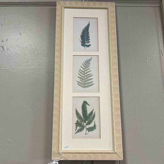 Rectangular Picture of 3 Ferns