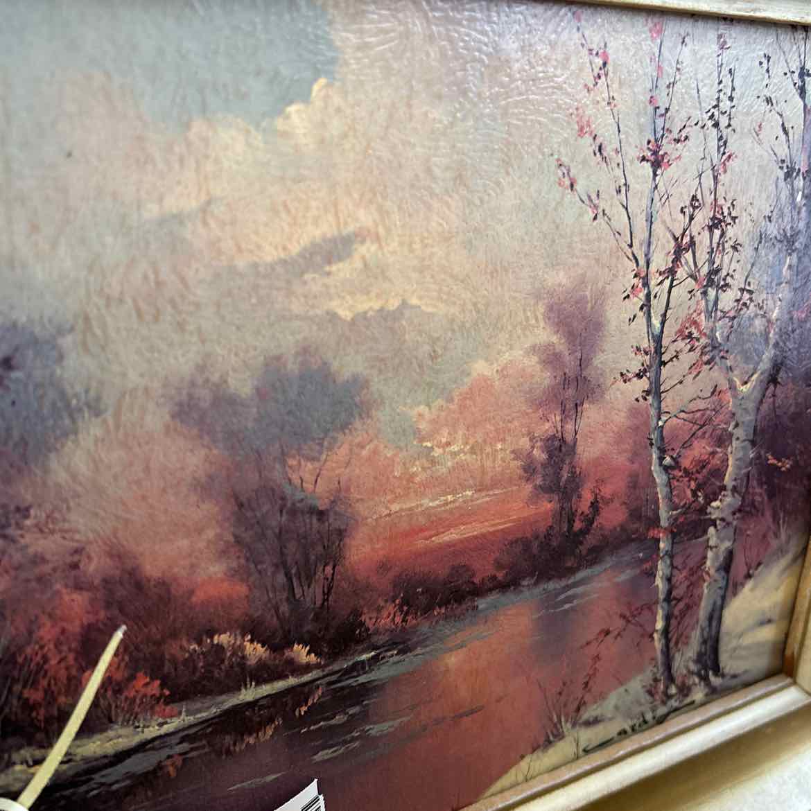 Birch Trees w/Sunset Picture