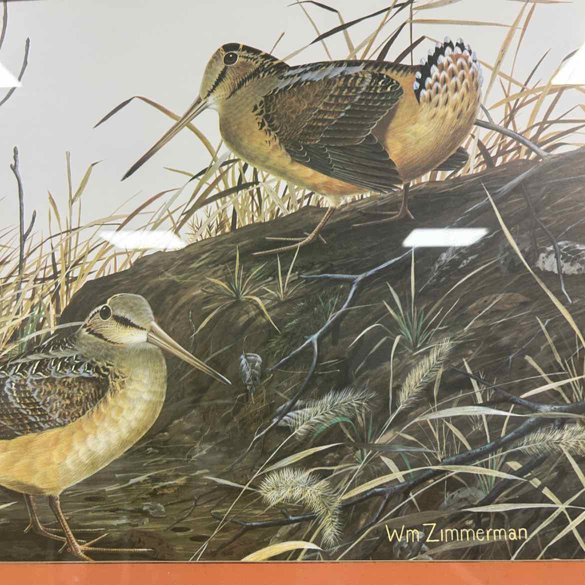 Zimmerman Picture -Framed Woodcock