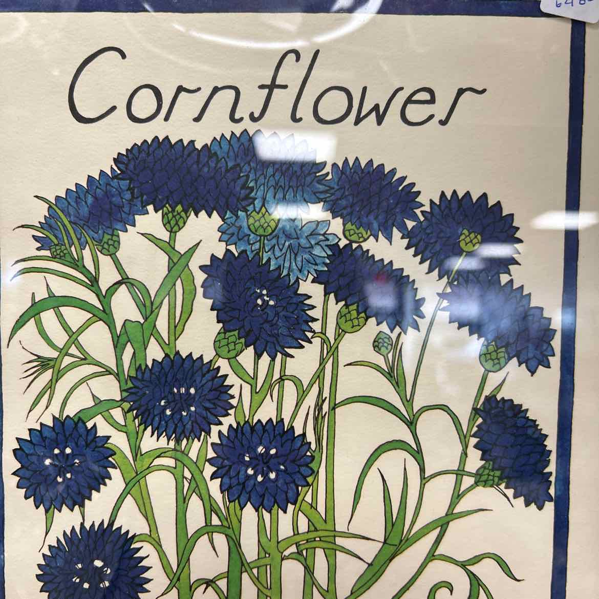 Cornflower Print In Frame
