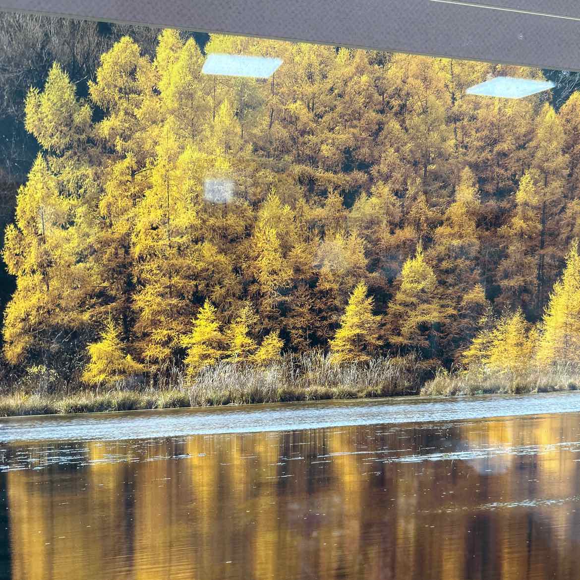 Autumn Scene of Garden & Trees & Lake