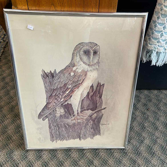 Picture of Owl in Silver Frame