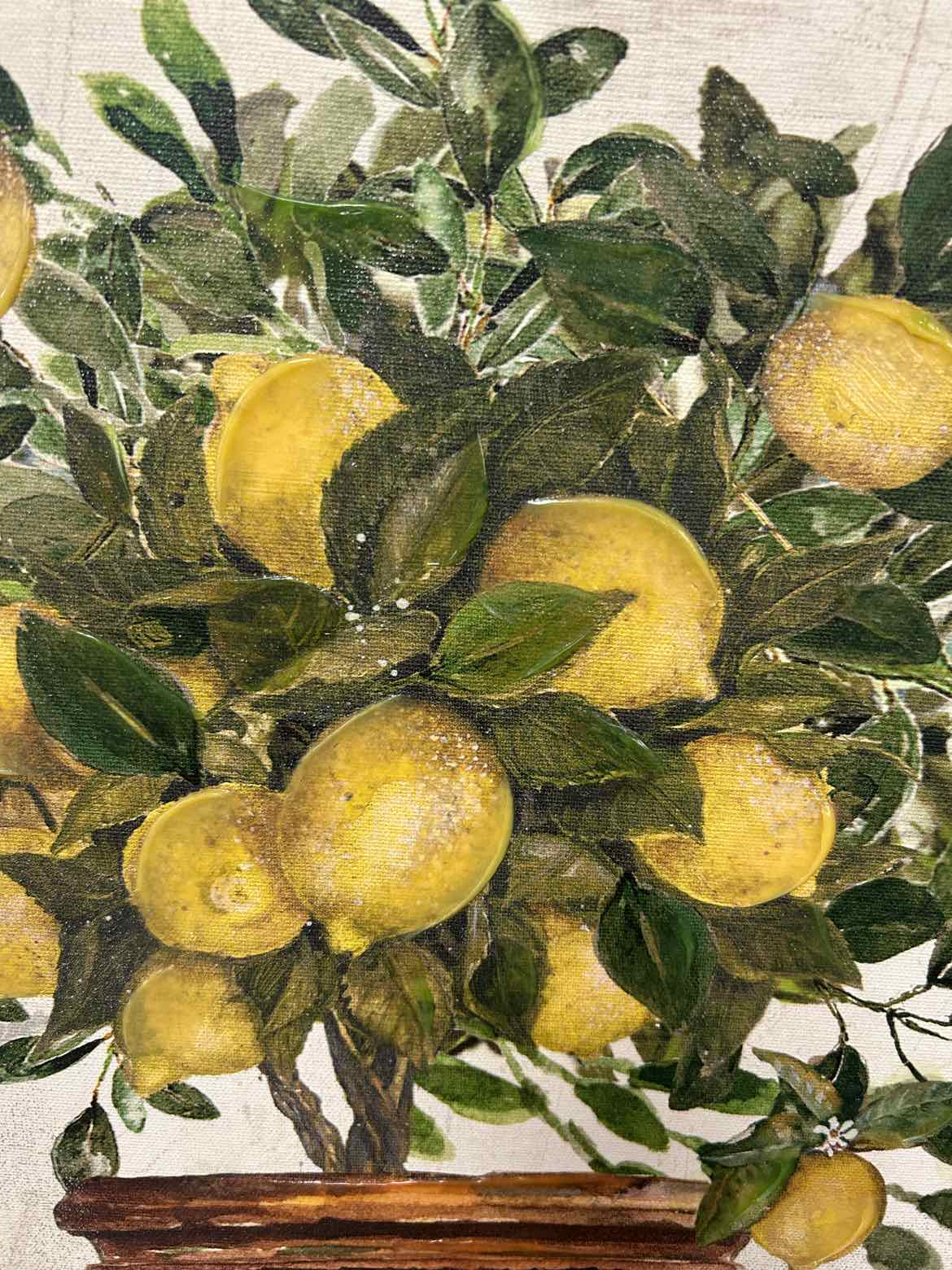 Lemon Tree in Pot on Canvas
