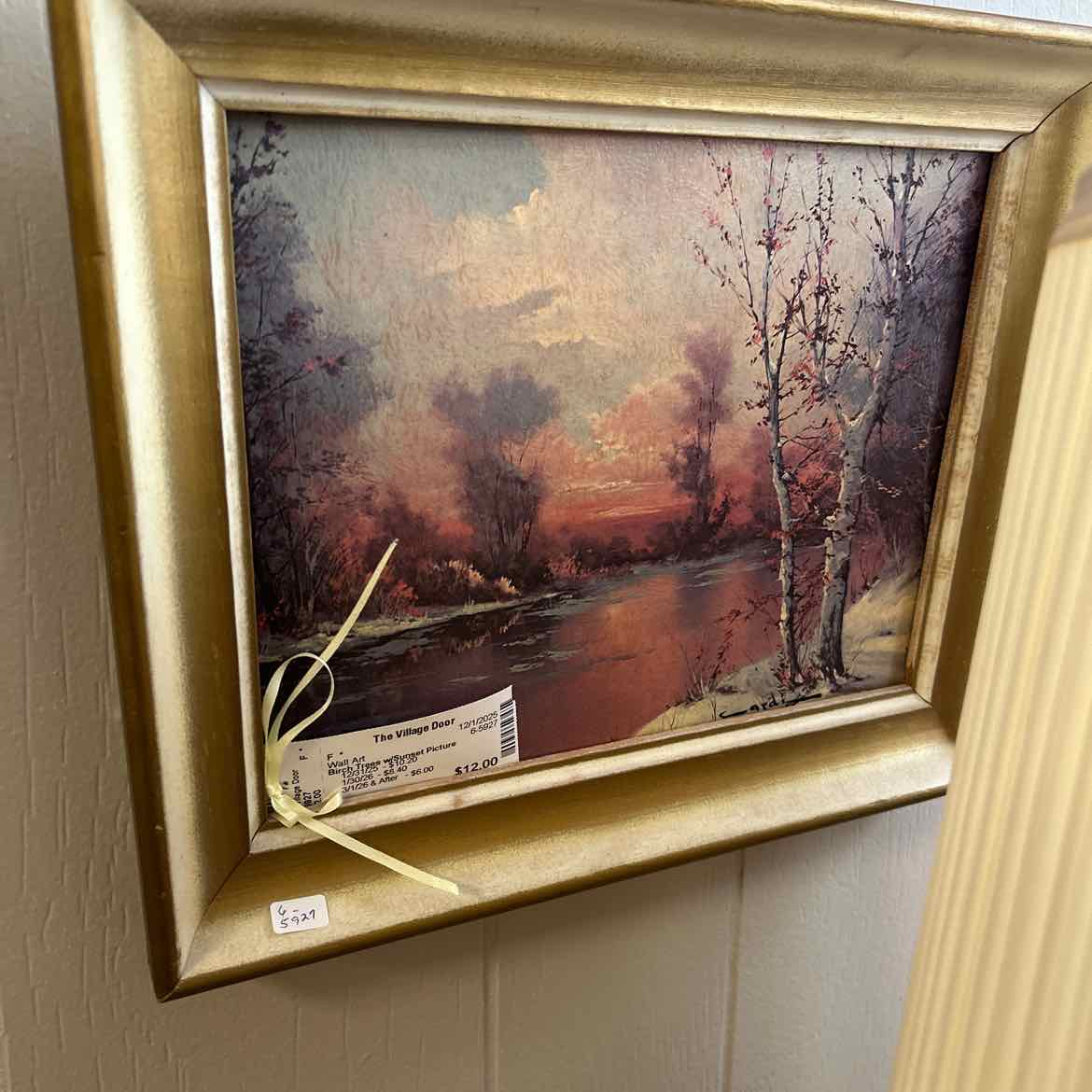 Birch Trees w/Sunset Picture