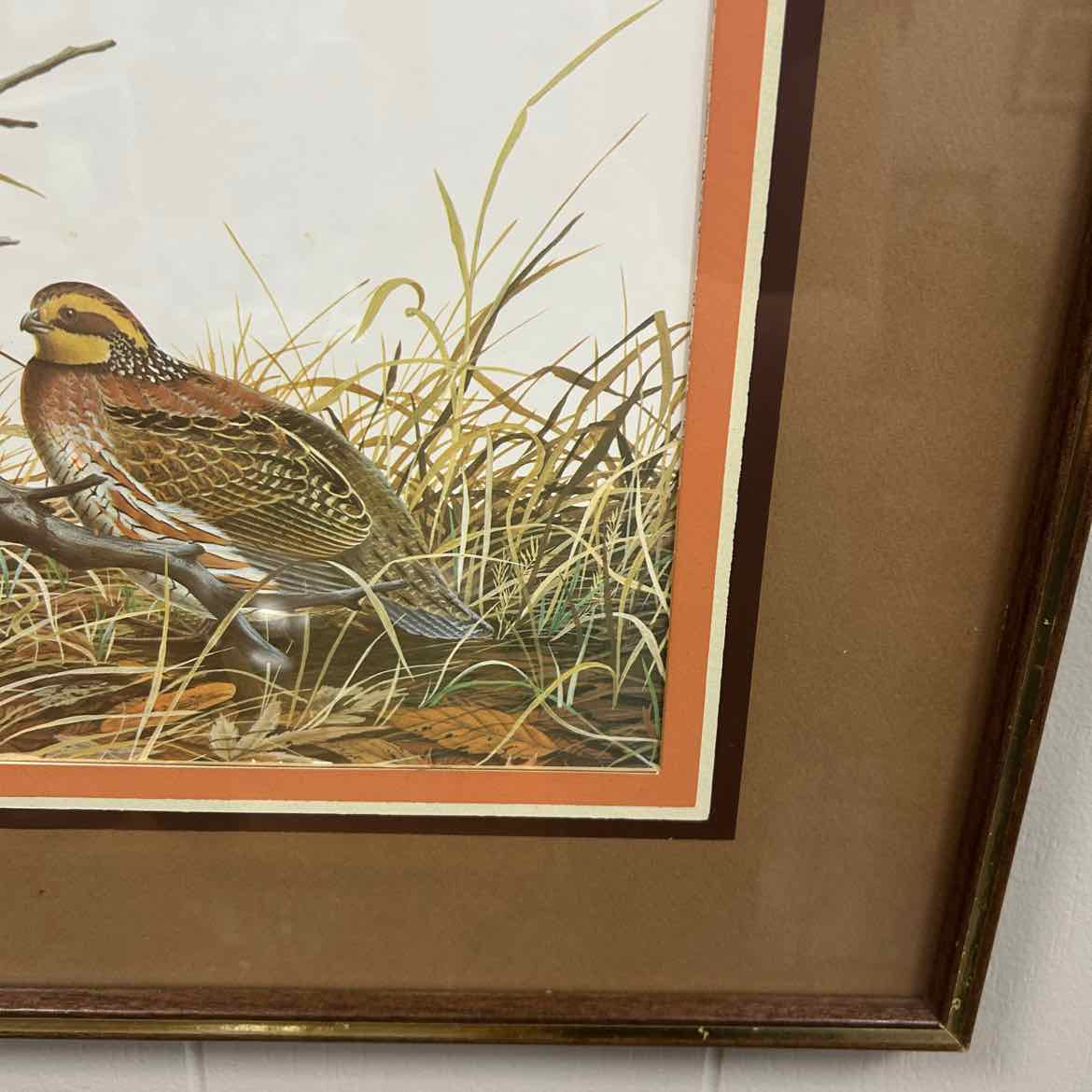 Zimmerman Picture -Framed Quail