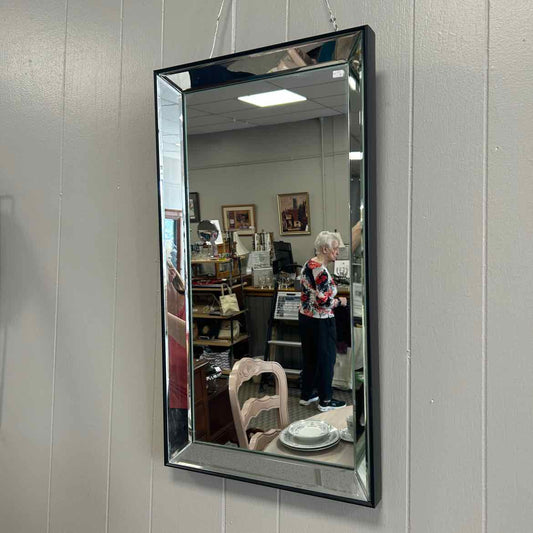 Long Mirror in Black Frame