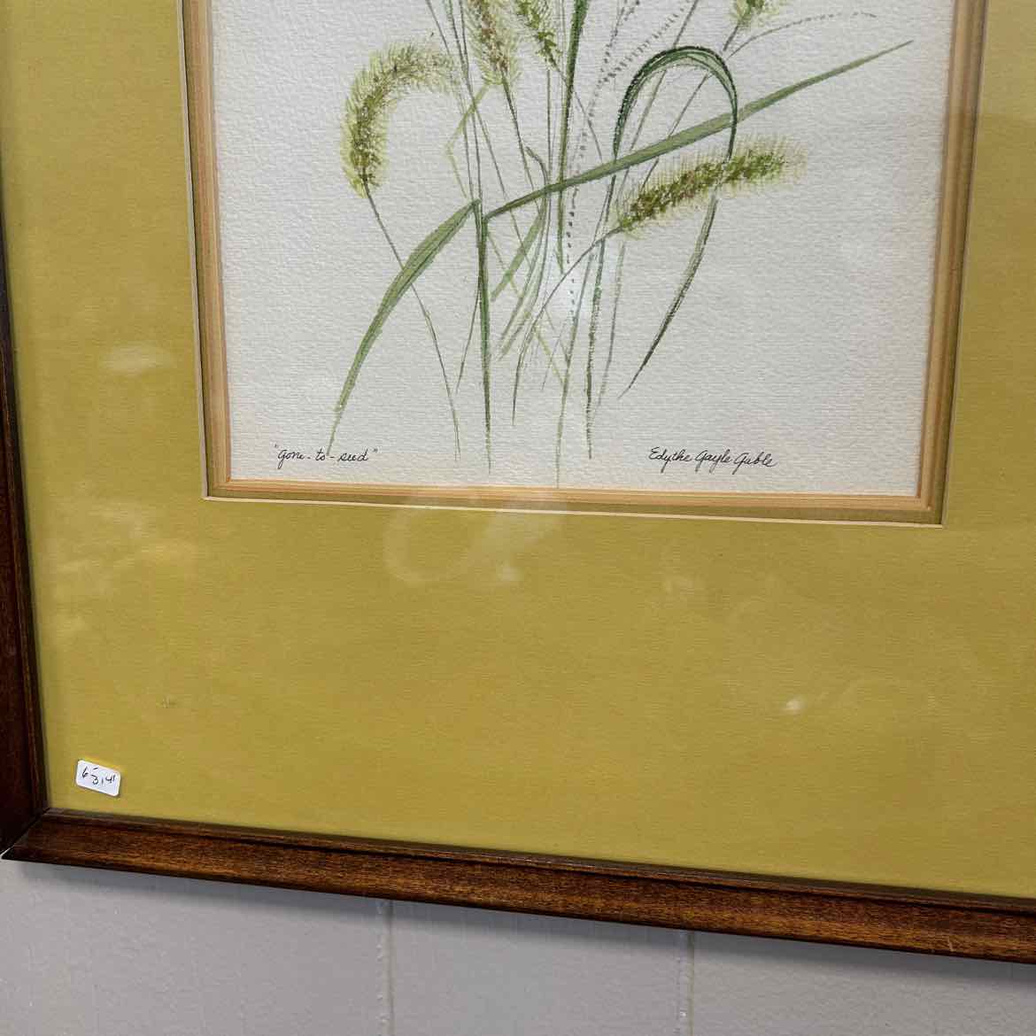 Picture of Tall Fuzzy Grass