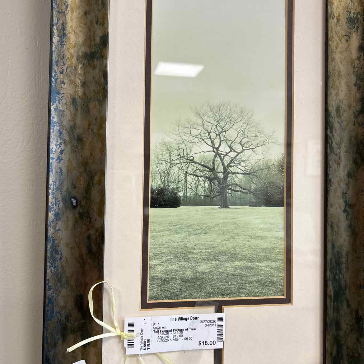 Tall Framed Picture of Tree