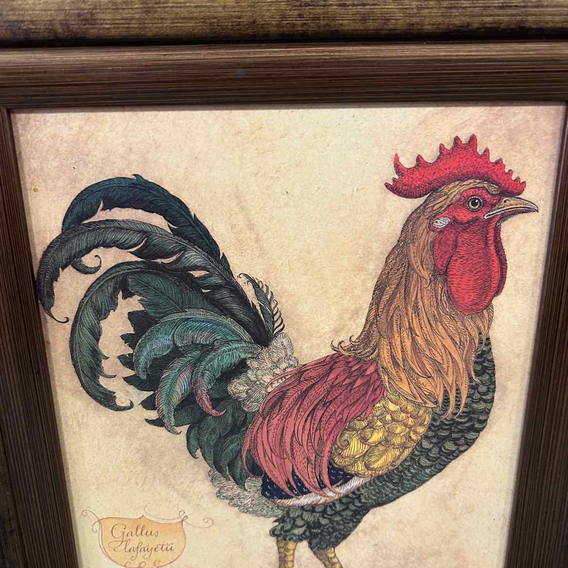 Rooster Picture in Gold Frame