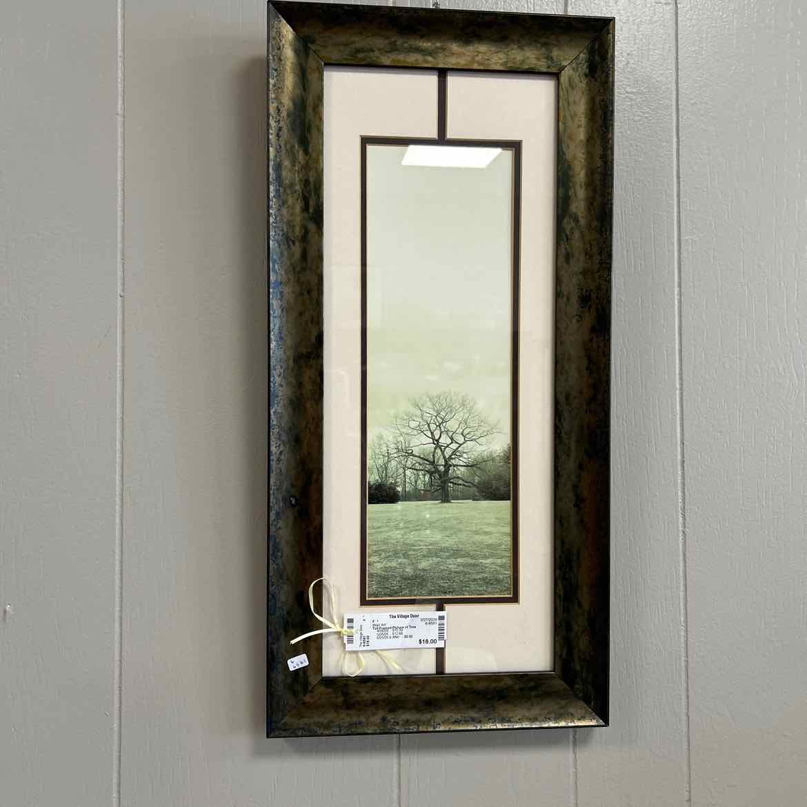 Tall Framed Picture of Tree