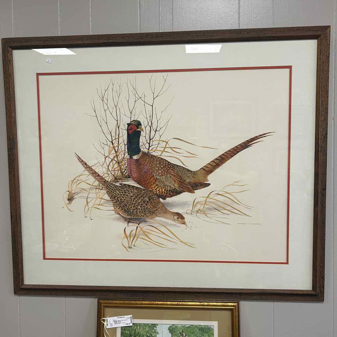 Large Picture of Pheasants