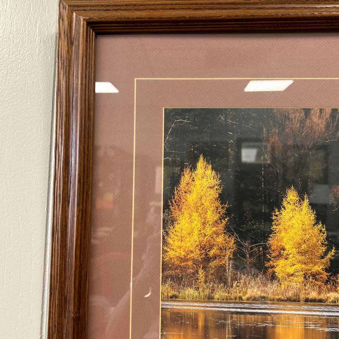 Autumn Scene of Garden & Trees & Lake